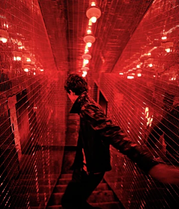 Imagem recente de timothee