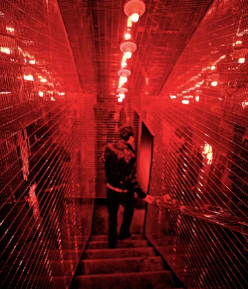 Imagem recente de timothee