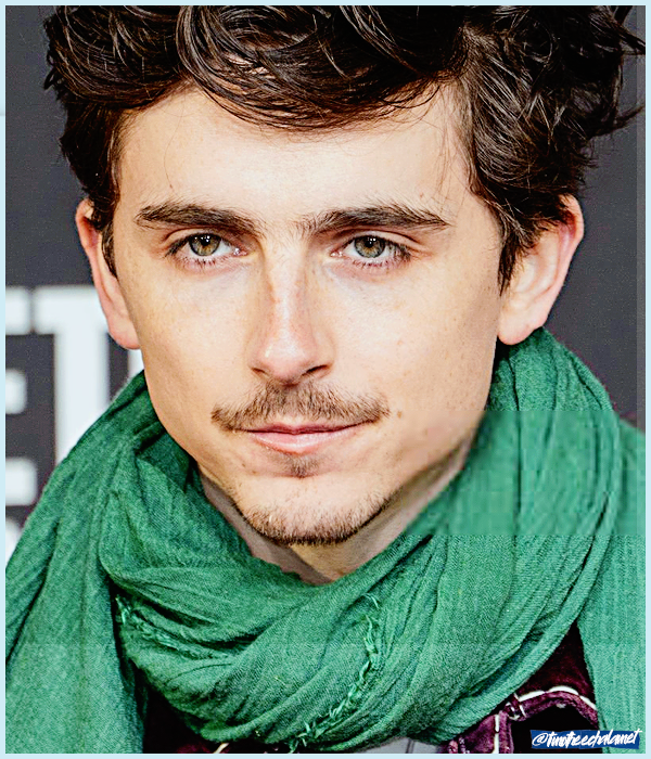 Foto de timotheechalamet