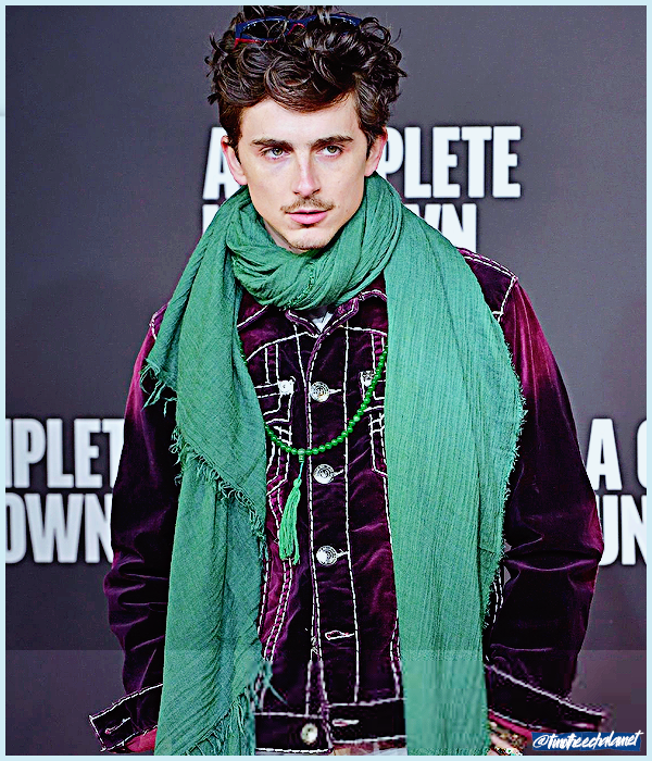 Foto de timotheechalamet