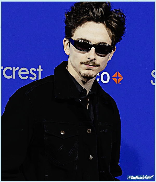 Foto de timotheechalamet