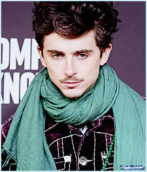 Foto de timotheechalamet