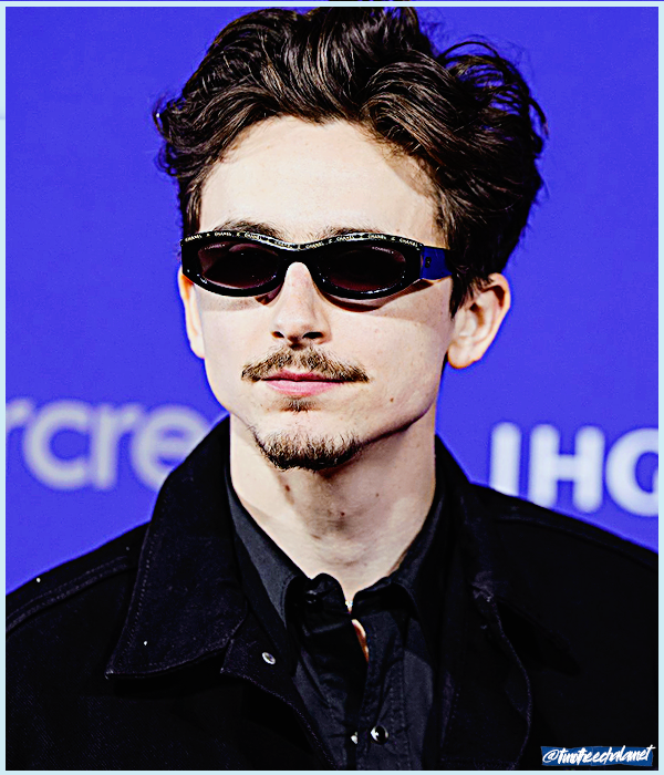 Foto de timotheechalamet