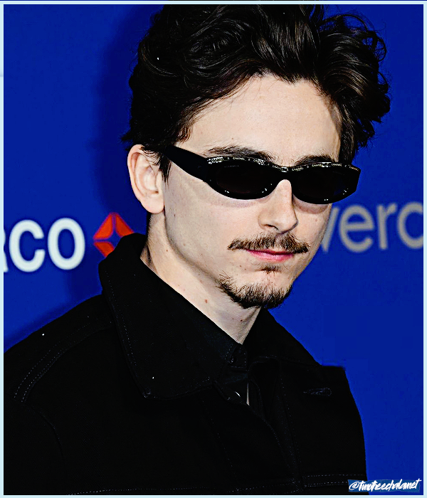 Foto de timotheechalamet