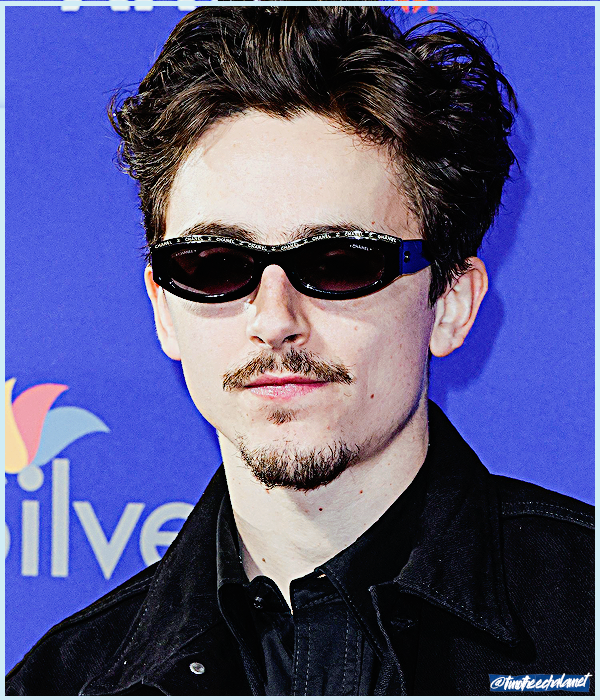 Foto de timotheechalamet