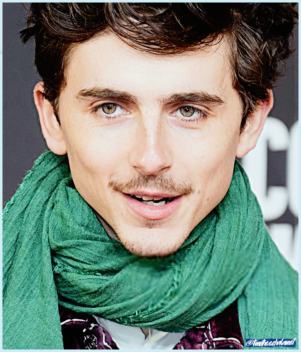 Foto de timotheechalamet