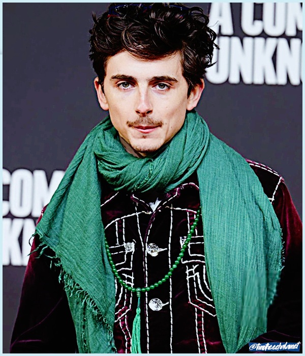 Foto de timotheechalamet