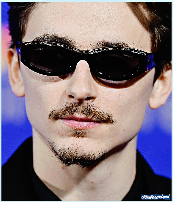 Foto de timotheechalamet