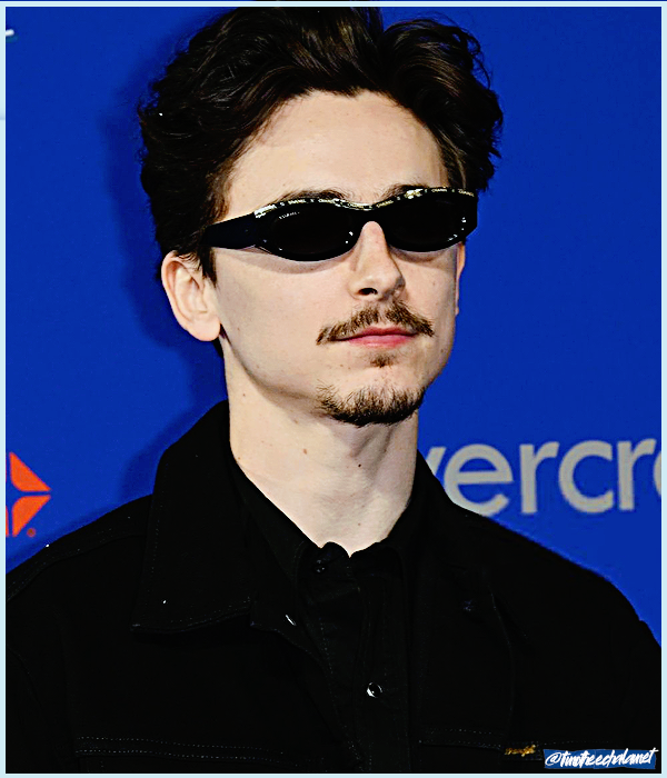 Foto de timotheechalamet