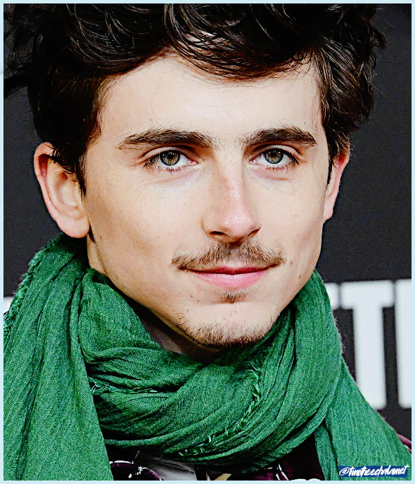 Foto de timotheechalamet