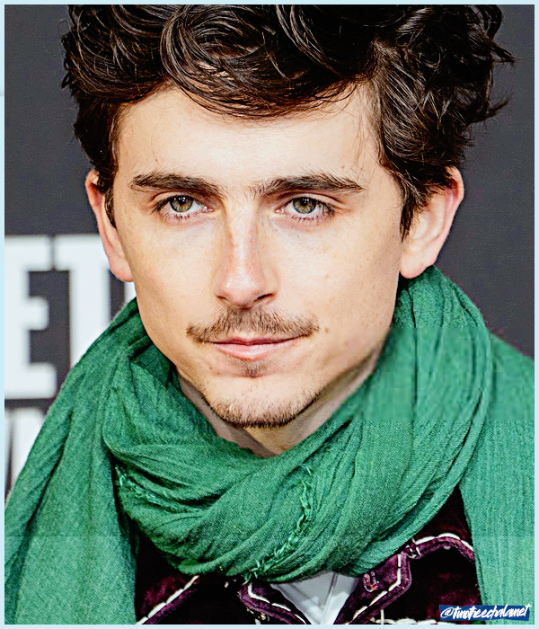 Foto de timotheechalamet