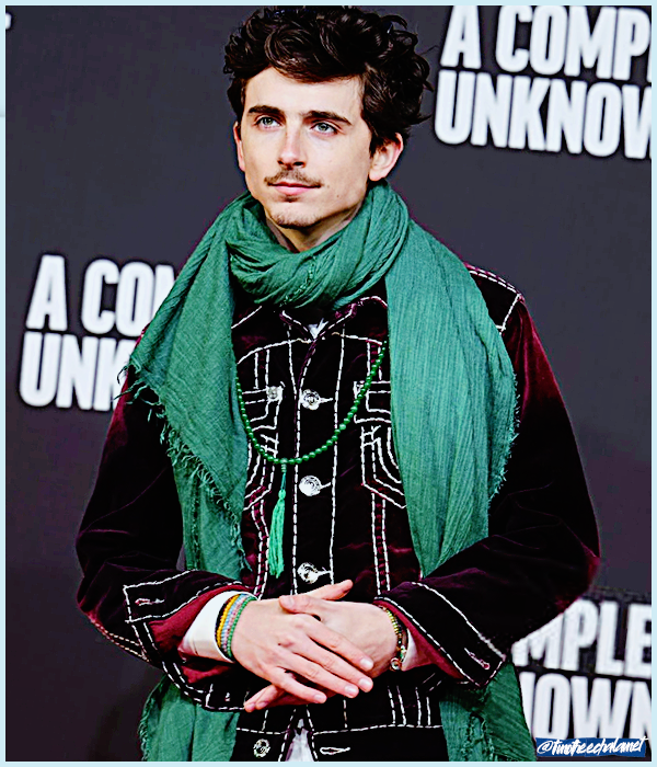 Foto de timotheechalamet