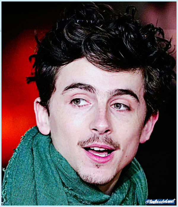 Foto de timotheechalamet