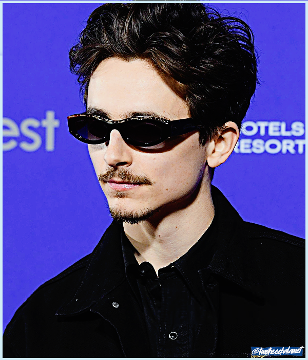 Foto de timotheechalamet