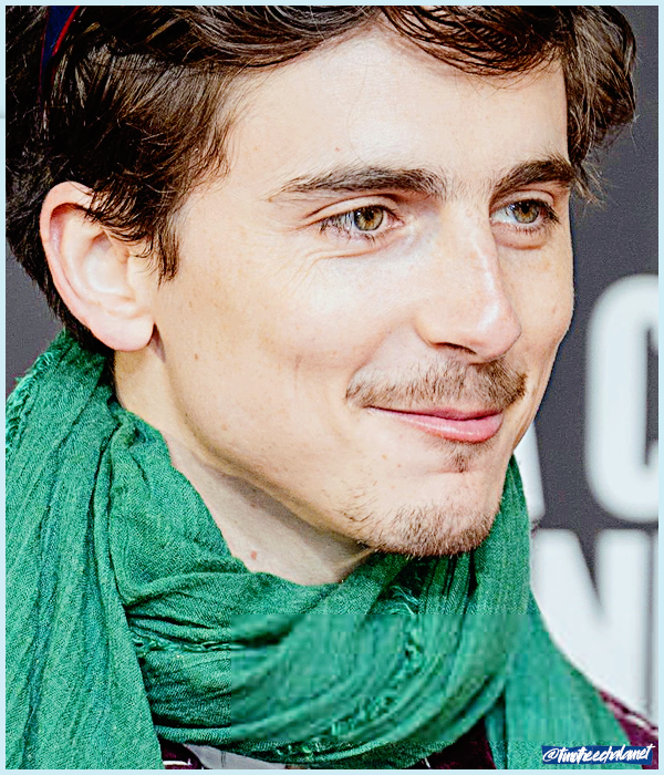 Foto de timotheechalamet