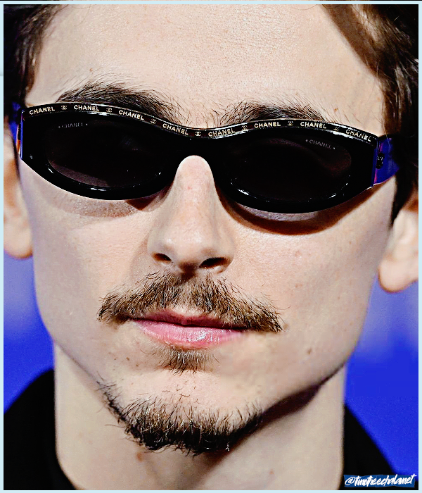 Foto de timotheechalamet