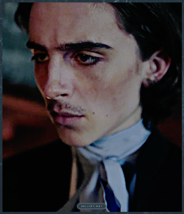 Foto de timotheechalamet