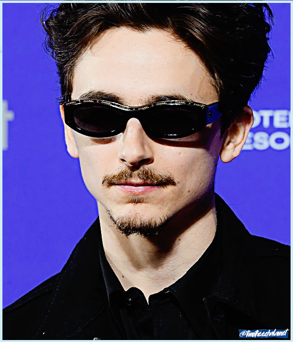 Foto de timotheechalamet