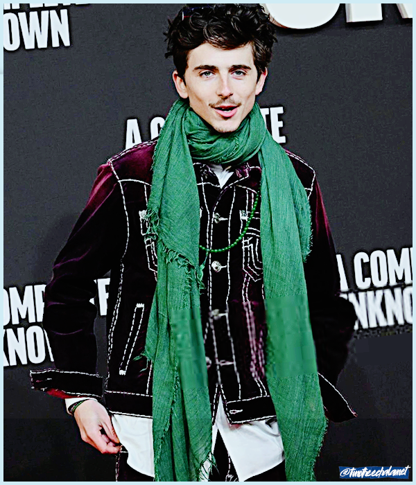 Foto de timotheechalamet