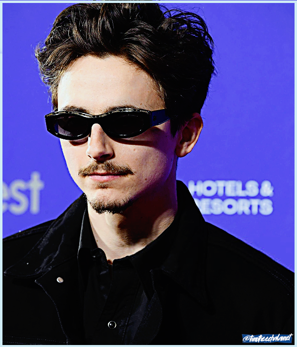 Foto de timotheechalamet