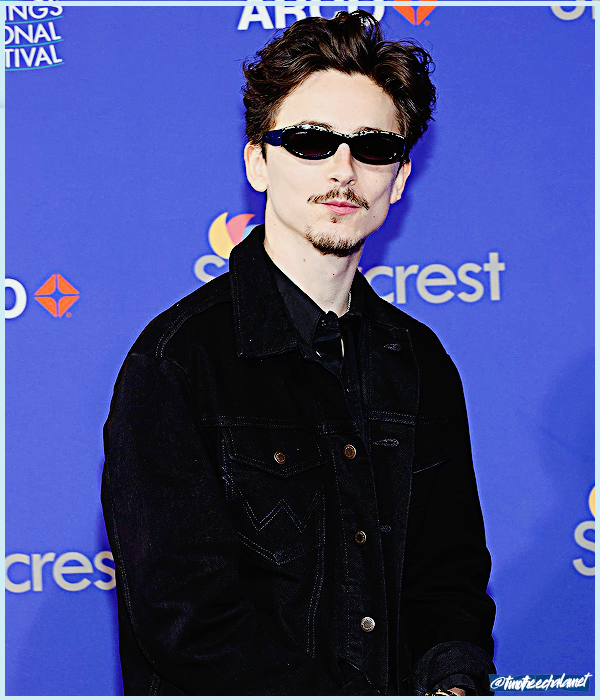 Foto de timotheechalamet