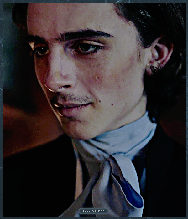 Foto de timotheechalamet