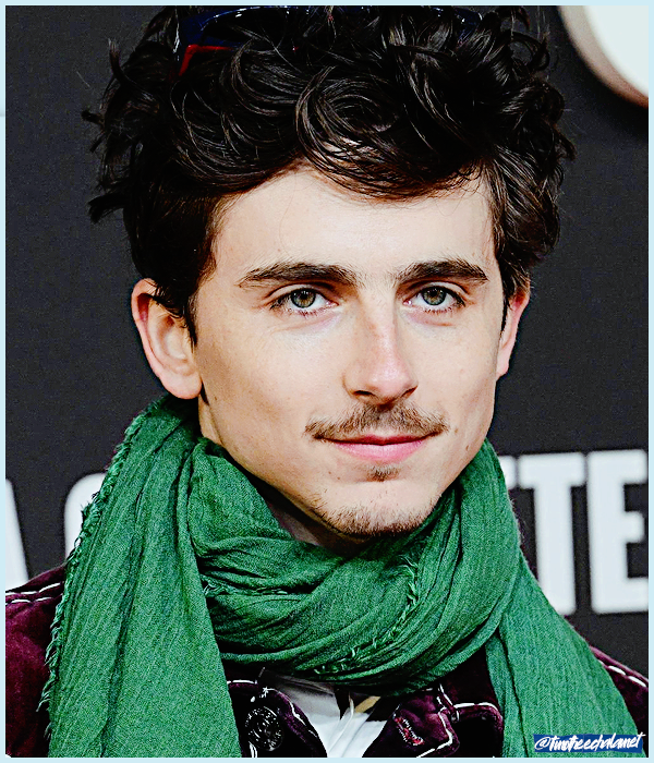 Foto de timotheechalamet