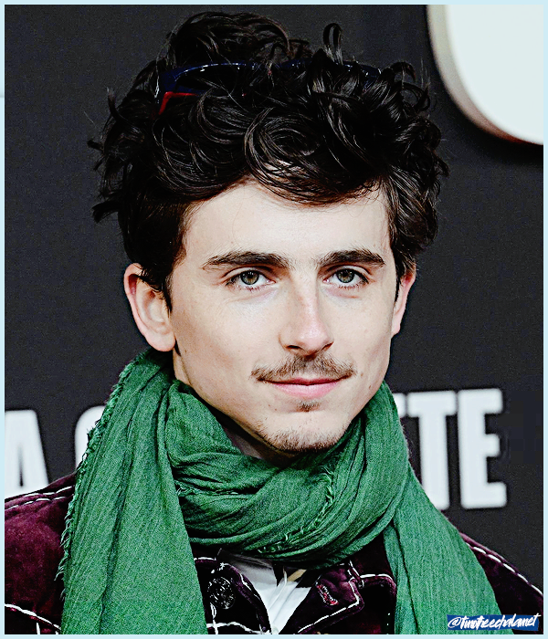 Foto de timotheechalamet