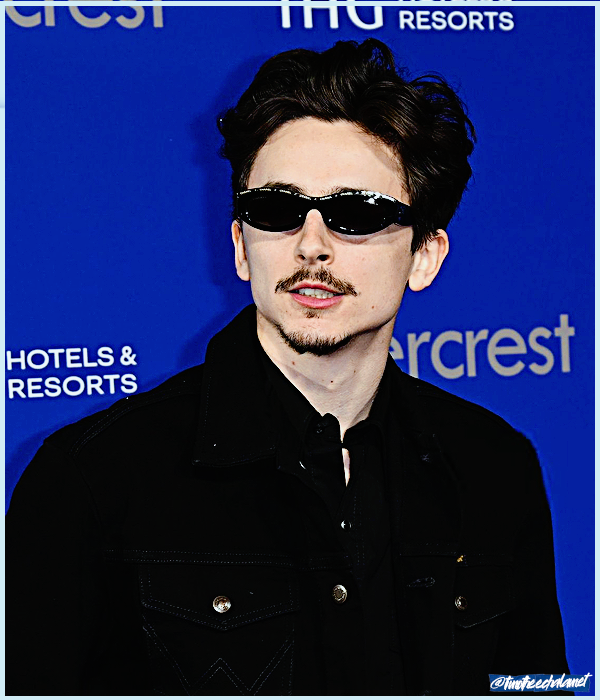 Foto de timotheechalamet