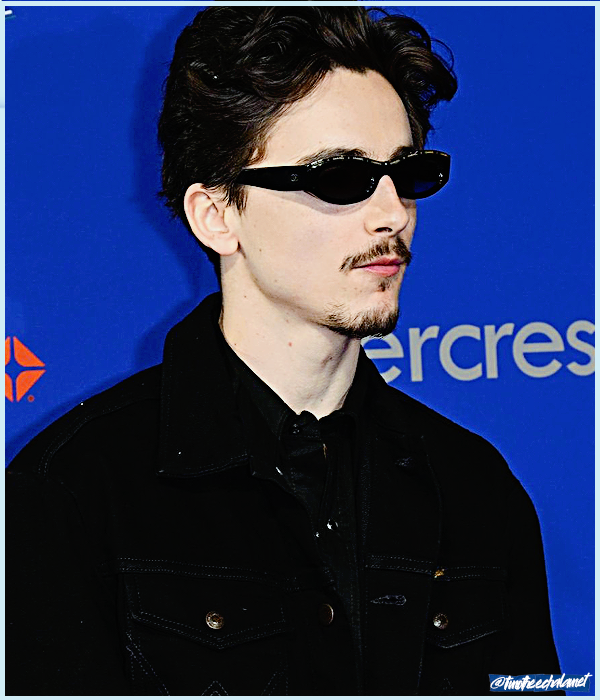 Foto de timotheechalamet