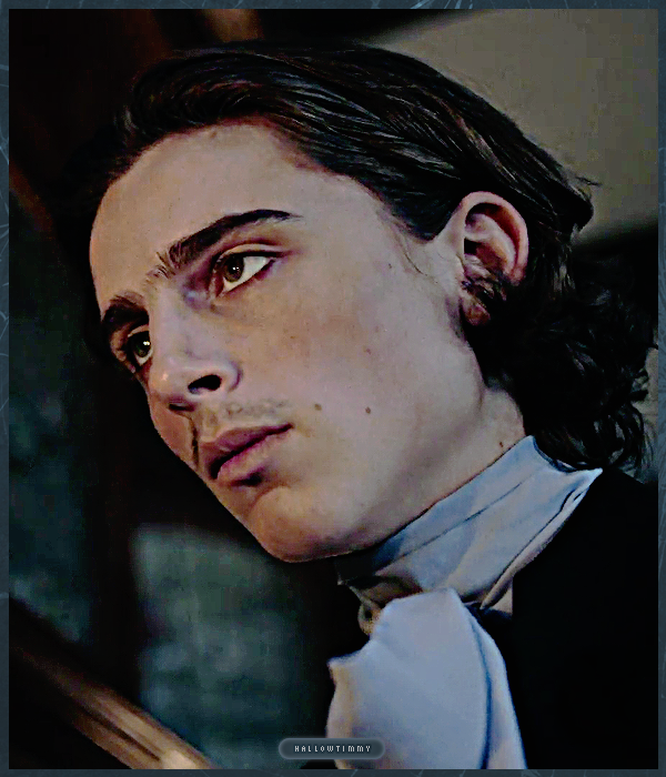 Foto de timotheechalamet