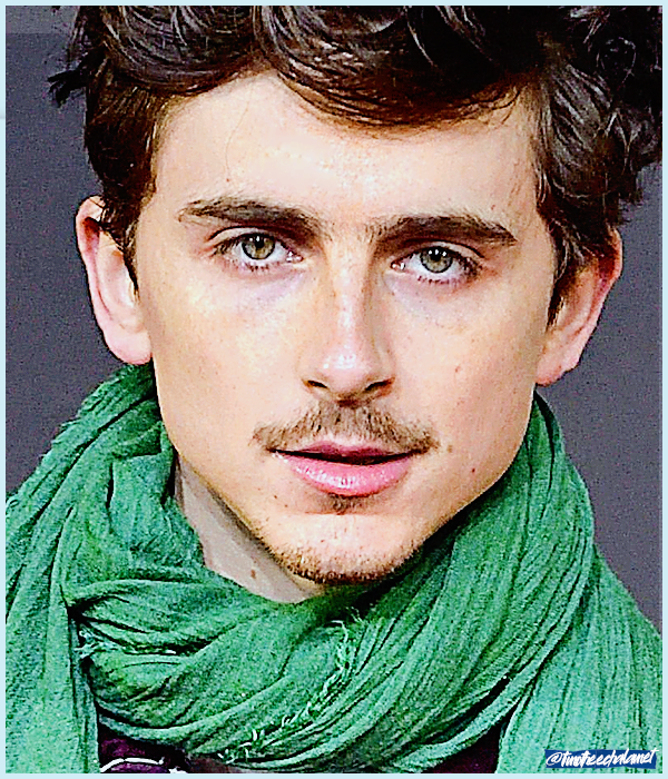 Foto de timotheechalamet