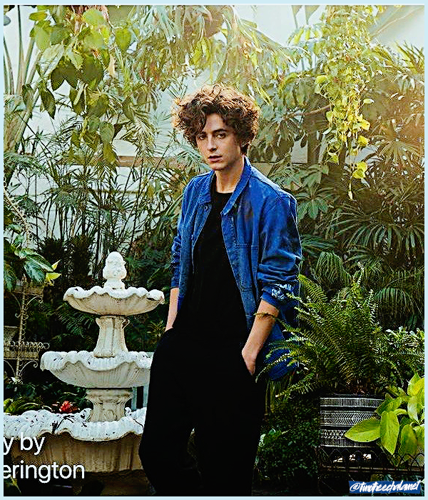 Foto de timotheechalamet