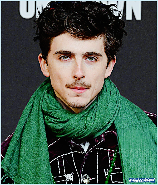 Foto de timotheechalamet