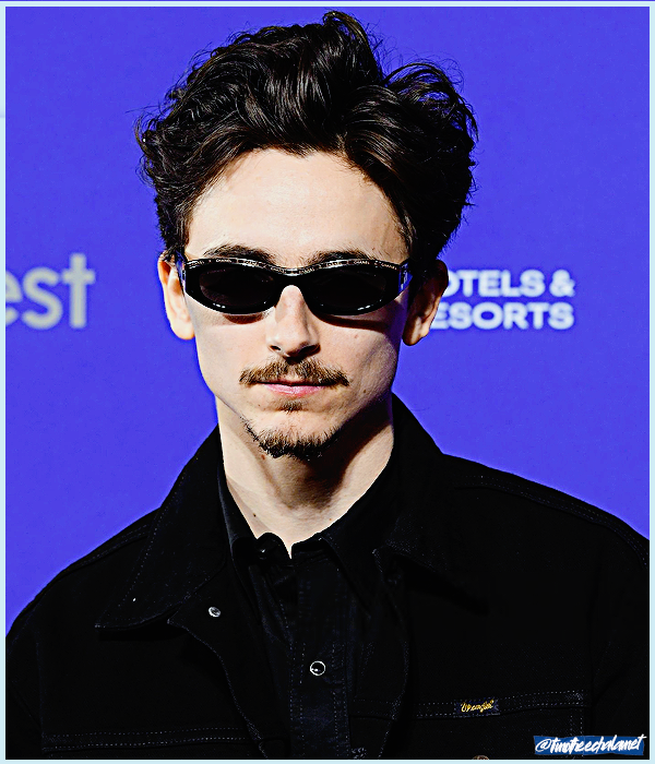 Foto de timotheechalamet