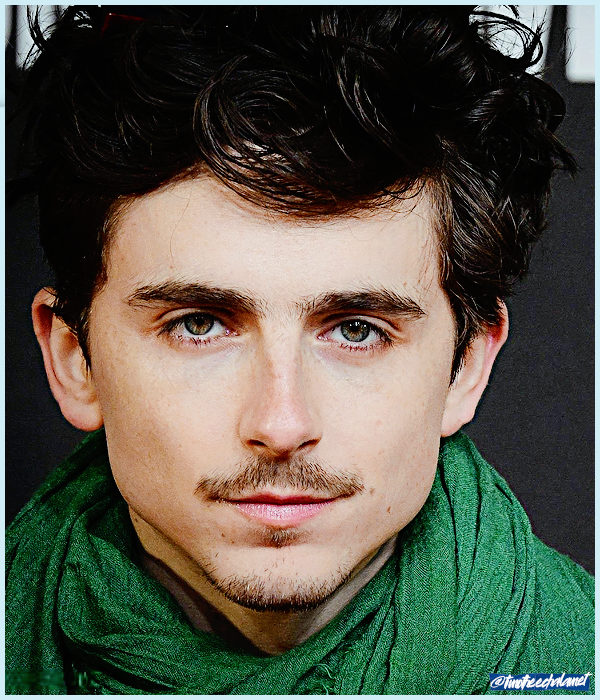 Foto de timotheechalamet