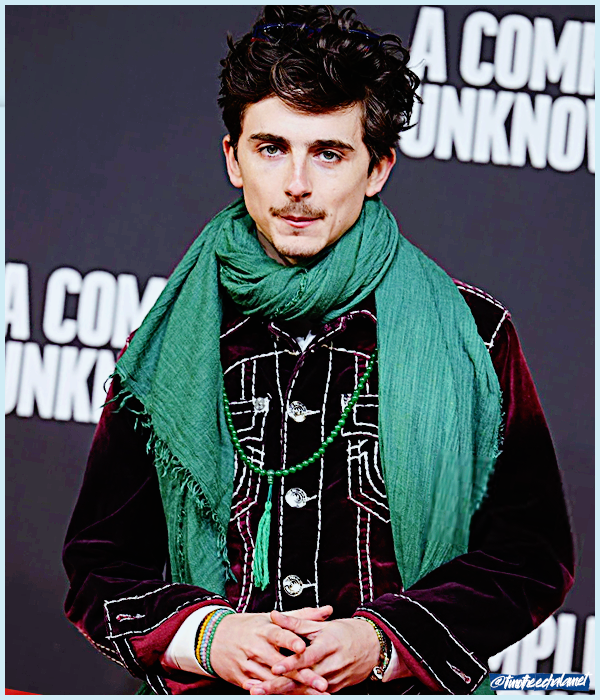 Foto de timotheechalamet