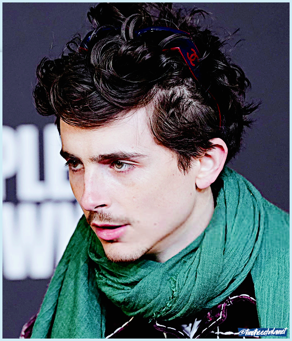 Foto de timotheechalamet