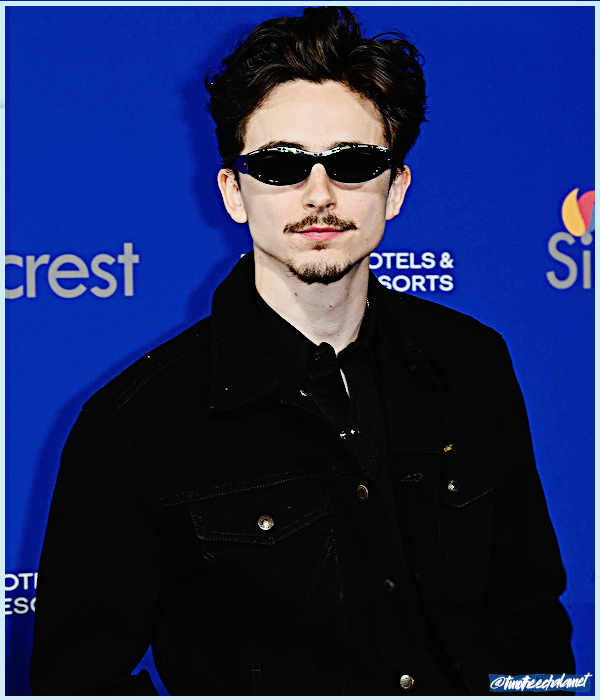 Foto de timotheechalamet