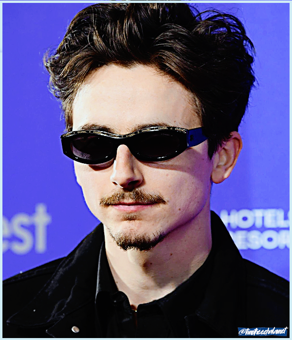 Foto de timotheechalamet