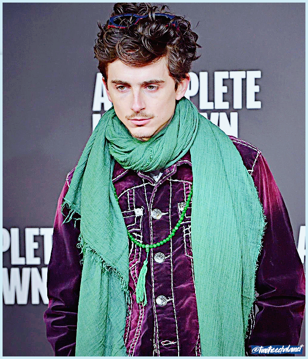 Foto de timotheechalamet