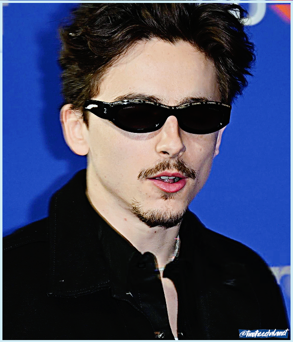 Foto de timotheechalamet