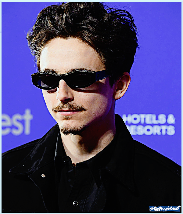 Foto de timotheechalamet