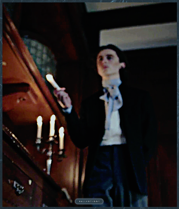 Foto de timotheechalamet