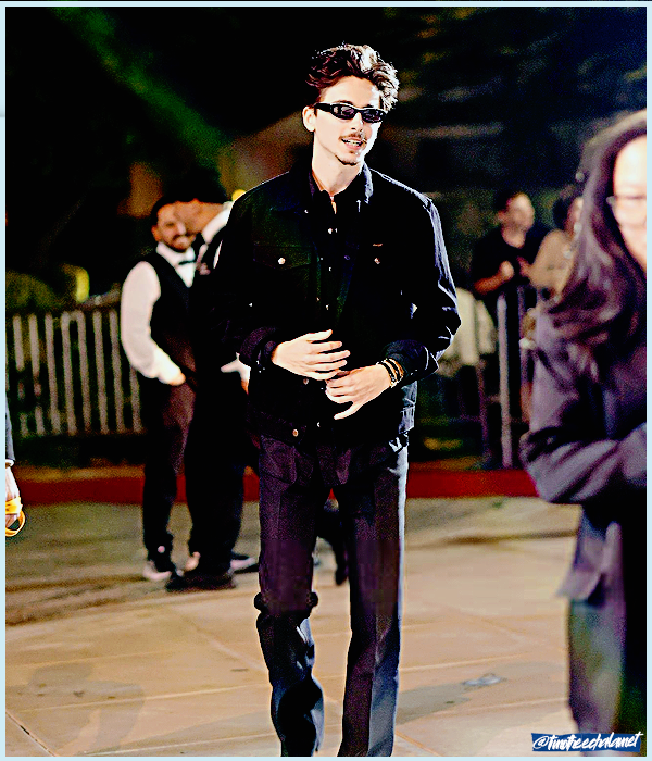 Foto de timotheechalamet