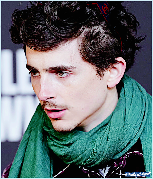 Foto de timotheechalamet