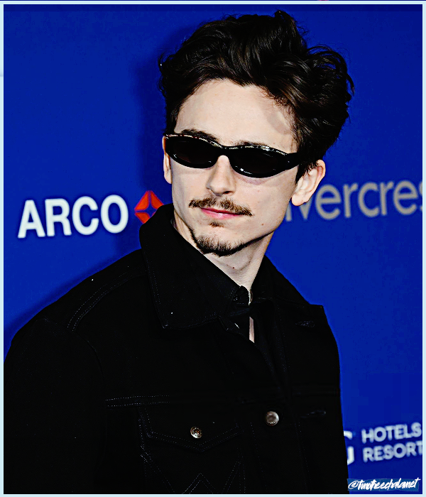 Foto de timotheechalamet