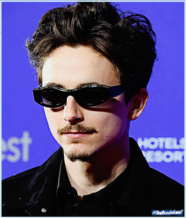 Foto de timotheechalamet