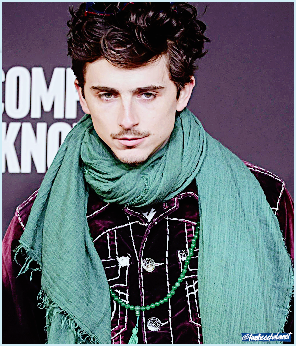 Foto de timotheechalamet