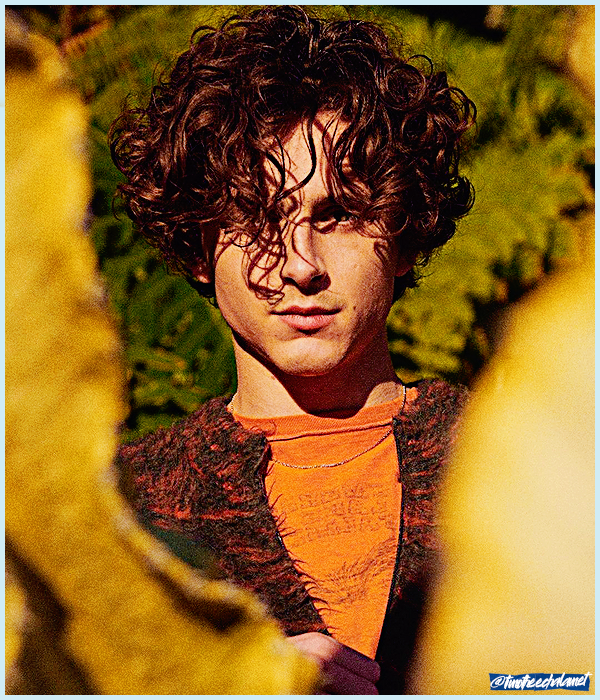 Foto de timotheechalamet